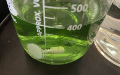 HPLC Doppelpeaks und unruhige Basislinie: Die Ursache können Algen, Bakterien oder Biofilm in der HPLC sein